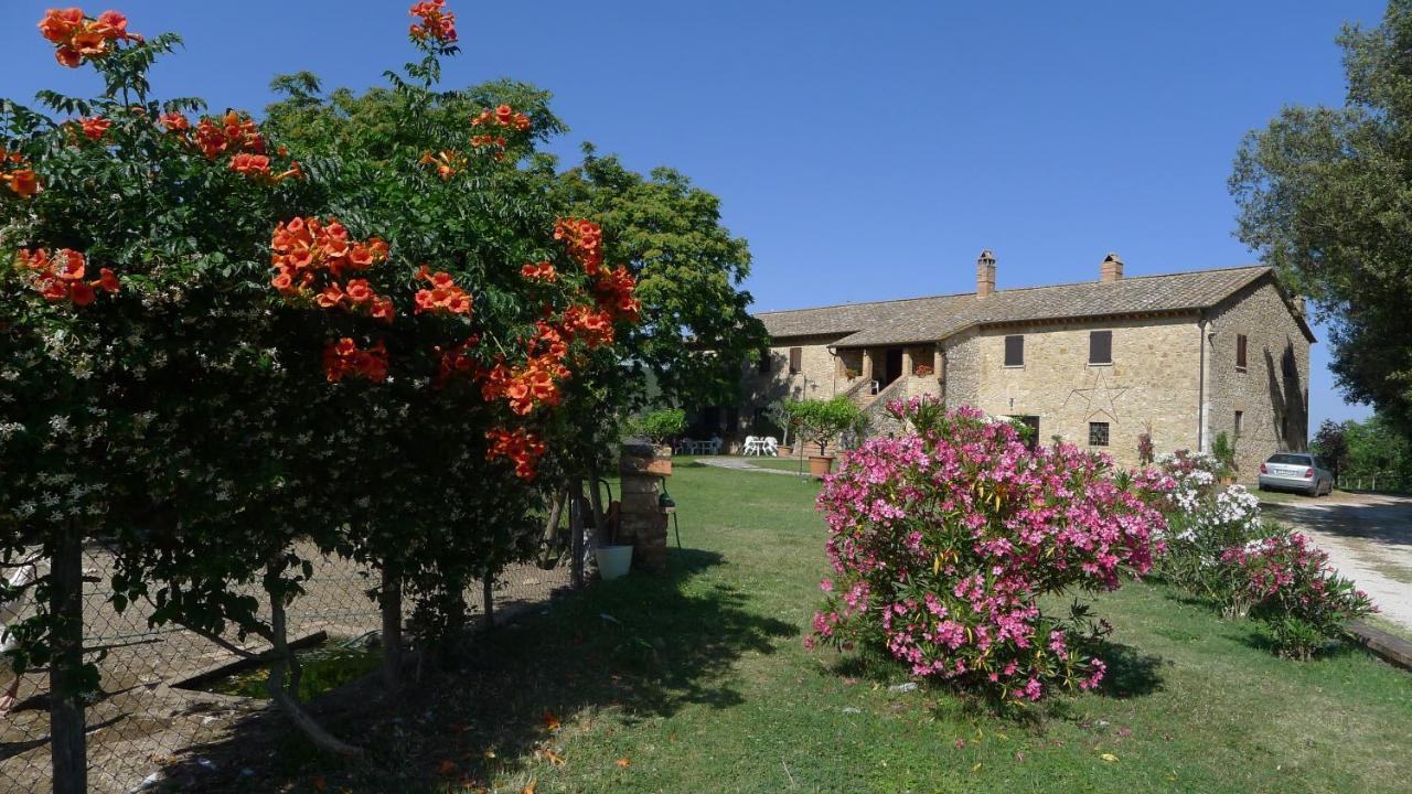 Agriturismo Podere Luchiano Amelia Eksteriør billede