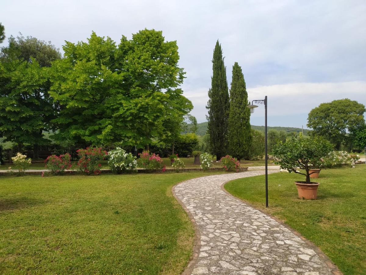Agriturismo Podere Luchiano Amelia Eksteriør billede