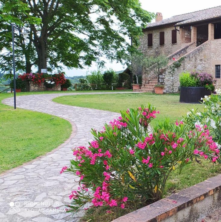 Agriturismo Podere Luchiano Amelia Eksteriør billede
