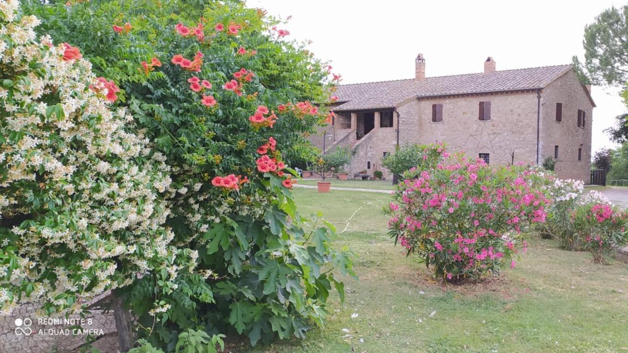 Agriturismo Podere Luchiano Amelia Eksteriør billede