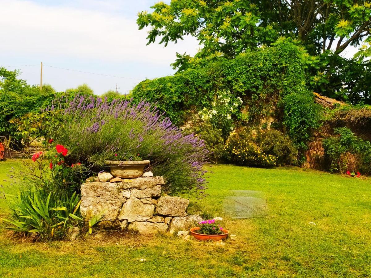 Agriturismo Podere Luchiano Amelia Eksteriør billede