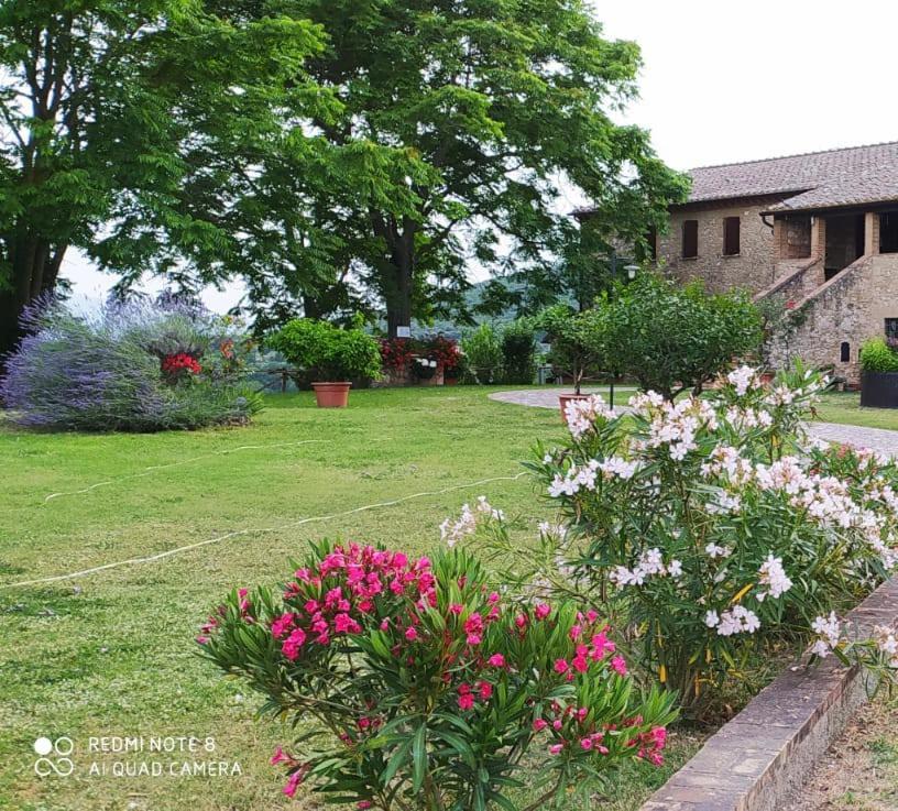 Agriturismo Podere Luchiano Amelia Eksteriør billede