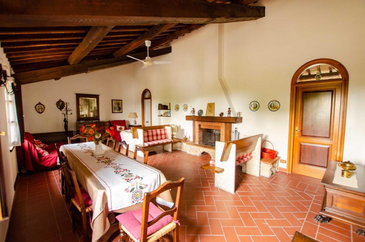 Agriturismo Podere Luchiano Amelia Eksteriør billede