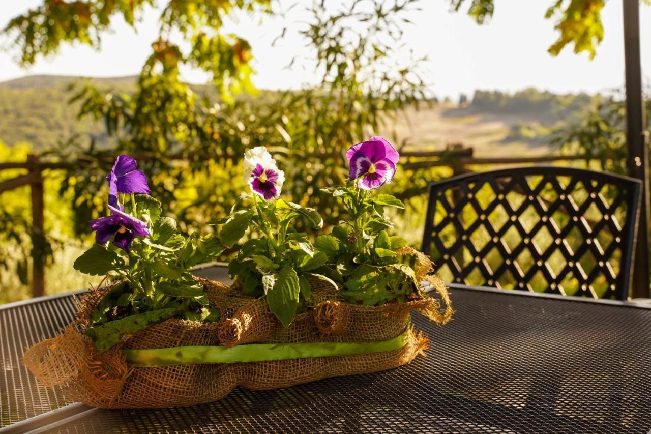 Agriturismo Podere Luchiano Amelia Eksteriør billede