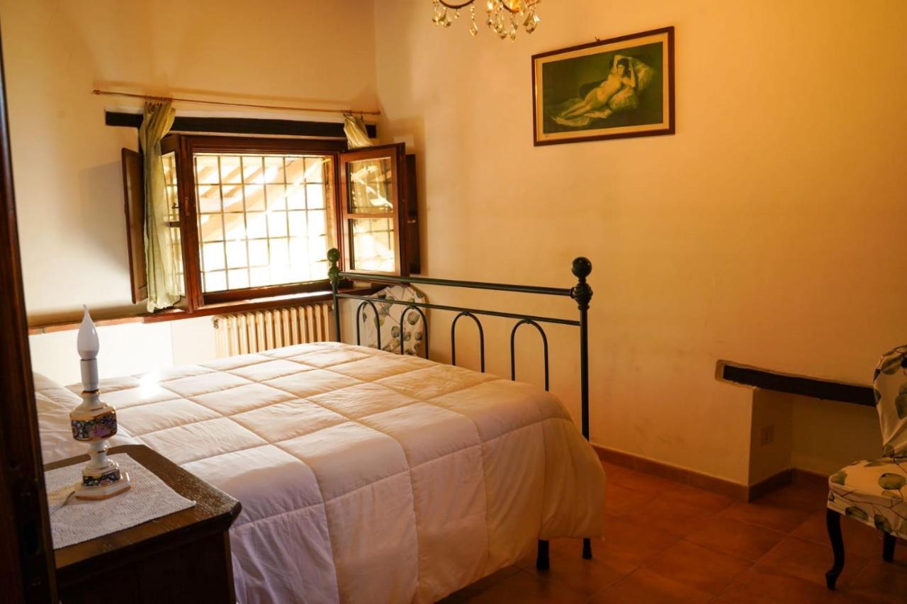 Agriturismo Podere Luchiano Amelia Eksteriør billede