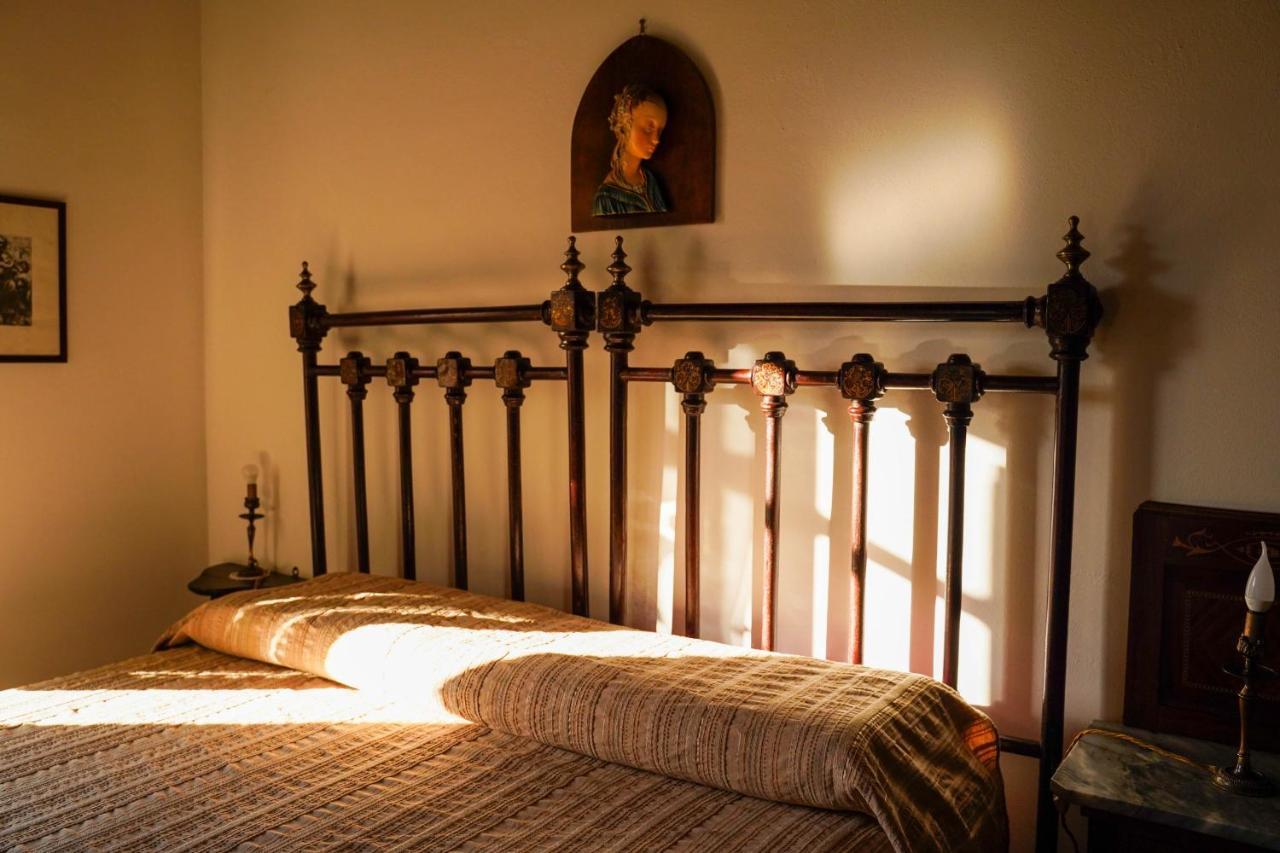 Agriturismo Podere Luchiano Amelia Eksteriør billede
