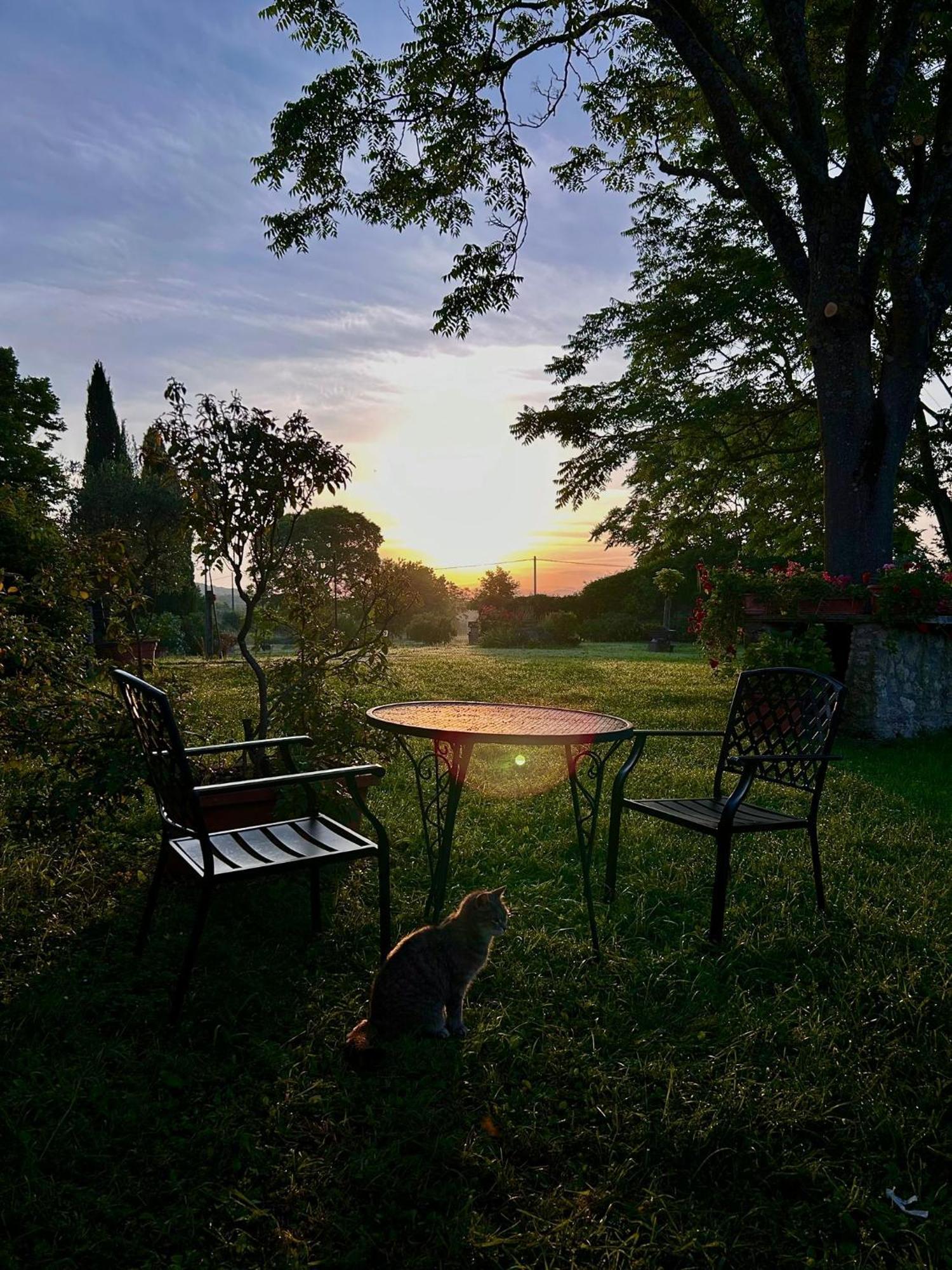Agriturismo Podere Luchiano Amelia Eksteriør billede