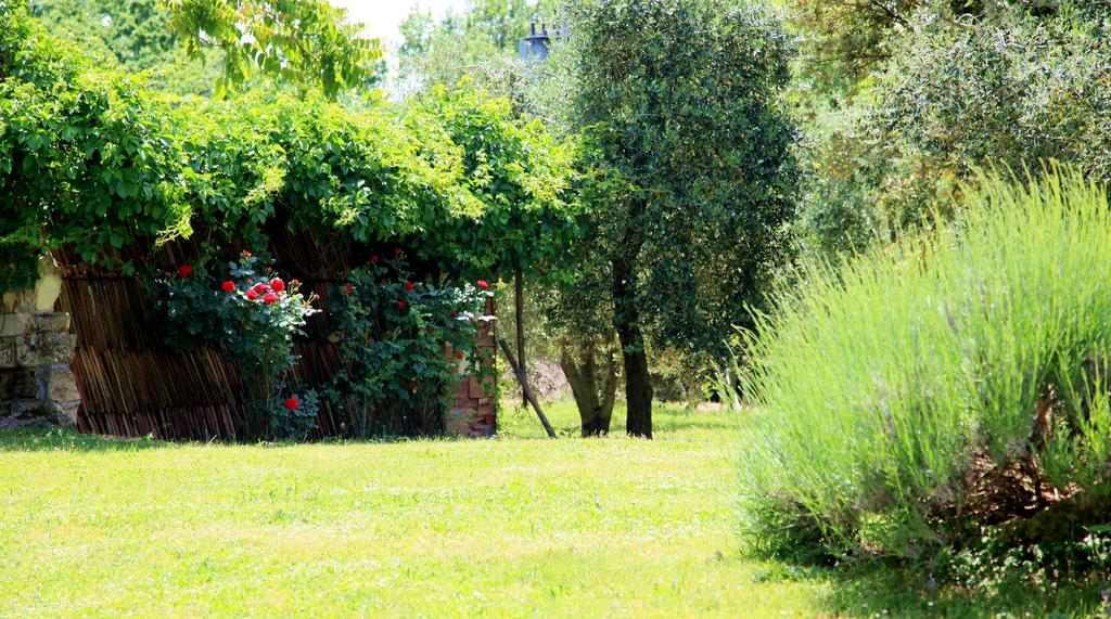 Agriturismo Podere Luchiano Amelia Eksteriør billede