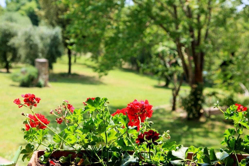 Agriturismo Podere Luchiano Amelia Eksteriør billede