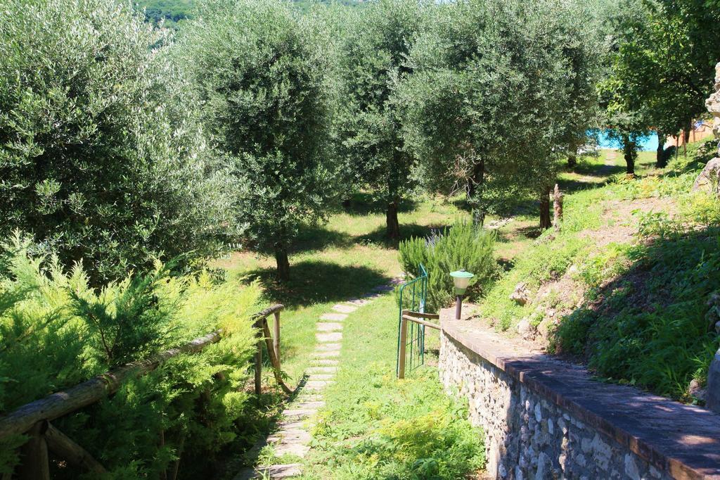 Agriturismo Podere Luchiano Amelia Eksteriør billede
