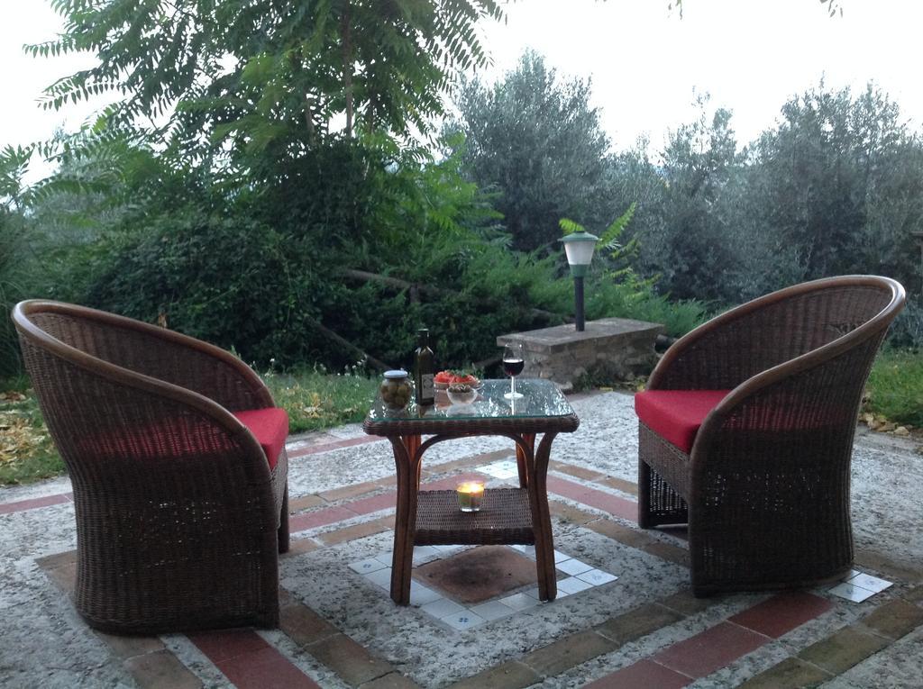 Agriturismo Podere Luchiano Amelia Eksteriør billede