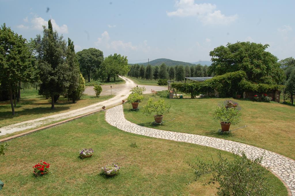 Agriturismo Podere Luchiano Amelia Eksteriør billede