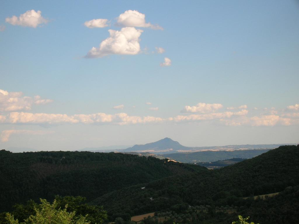 Agriturismo Podere Luchiano Amelia Eksteriør billede