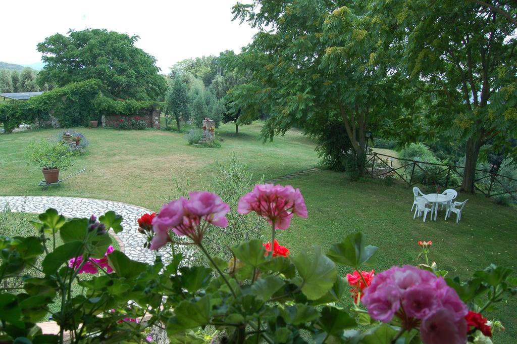 Agriturismo Podere Luchiano Amelia Eksteriør billede