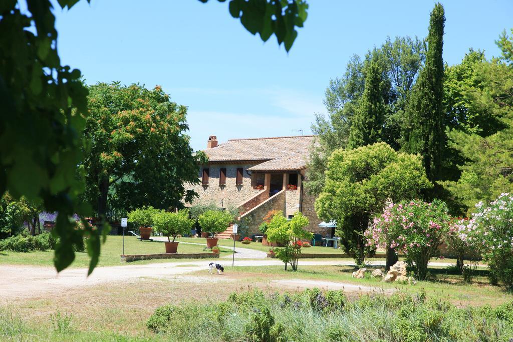 Agriturismo Podere Luchiano Amelia Eksteriør billede