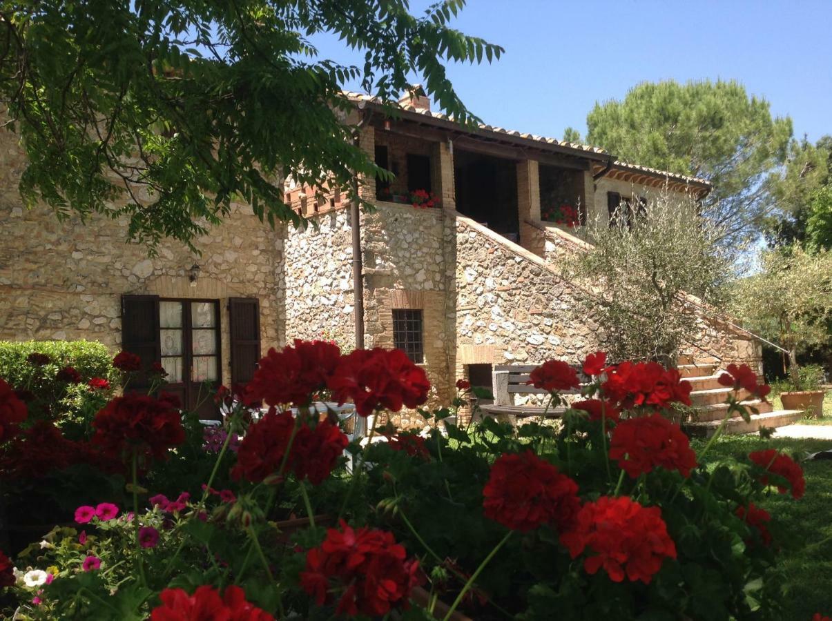 Agriturismo Podere Luchiano Amelia Eksteriør billede