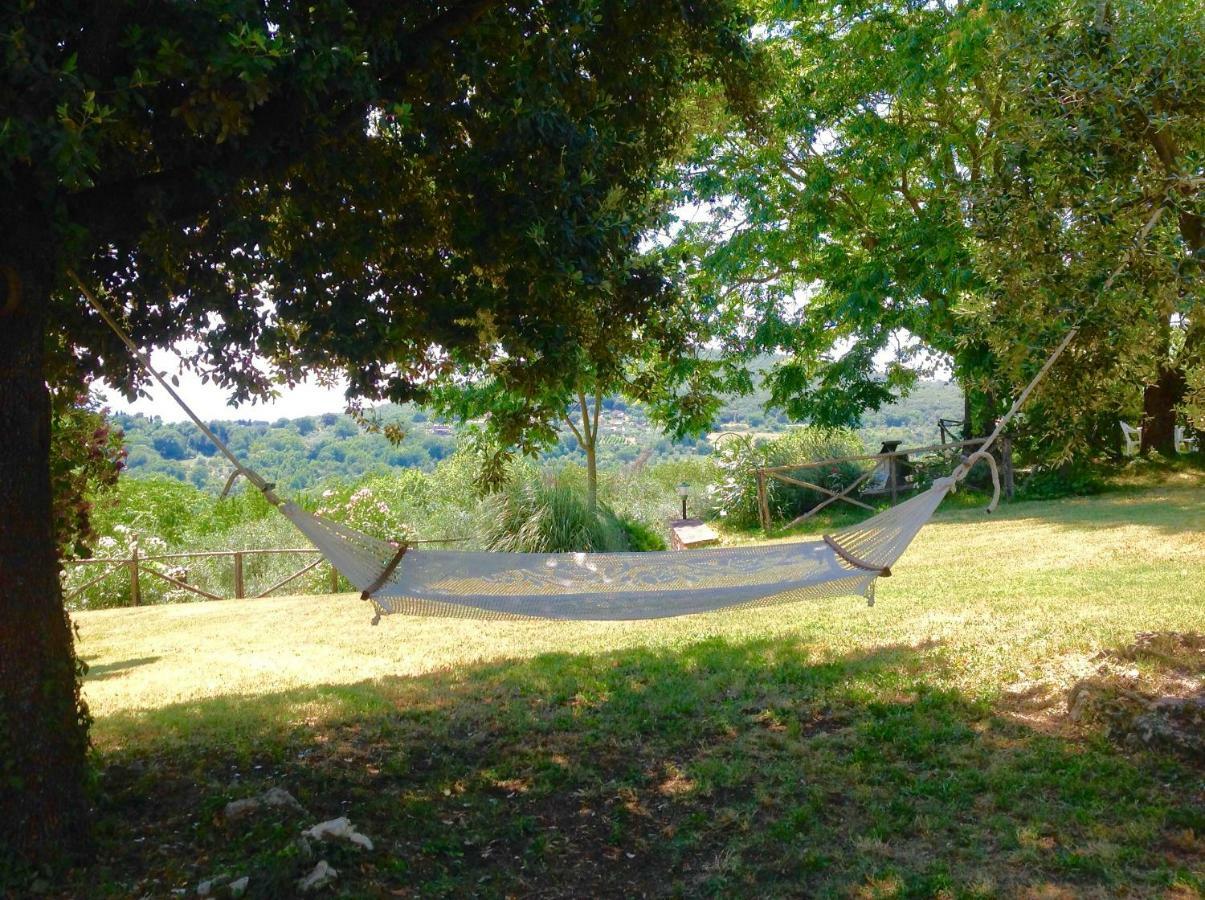 Agriturismo Podere Luchiano Amelia Eksteriør billede